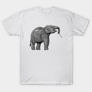 Baby Asian elephant T-Shirt